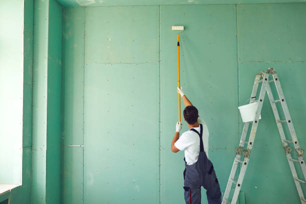 Best Biohazard Mold Removal  in Mattawan, MI
