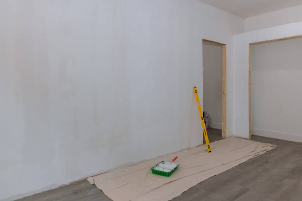 Best Forensic Mold Investigation  in Mattawan, MI